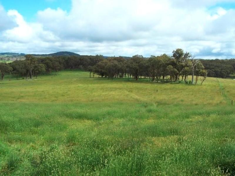 Black Mountain NSW 2365