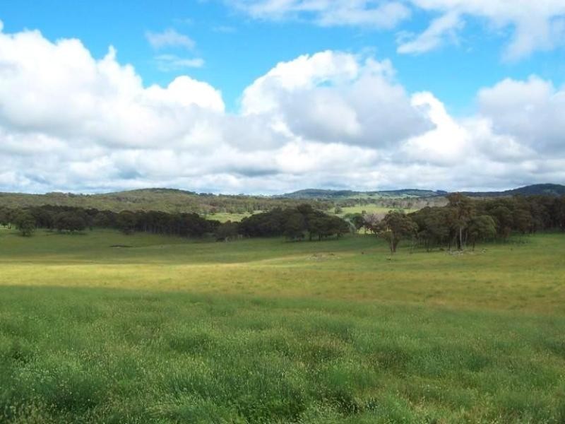 Black Mountain NSW 2365