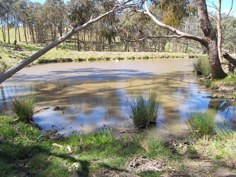 Armidale NSW 2350