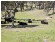 Armidale NSW 2350