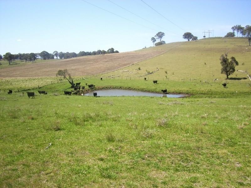 Llangothlin NSW 2365