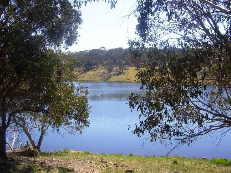 Llangothlin NSW 2365