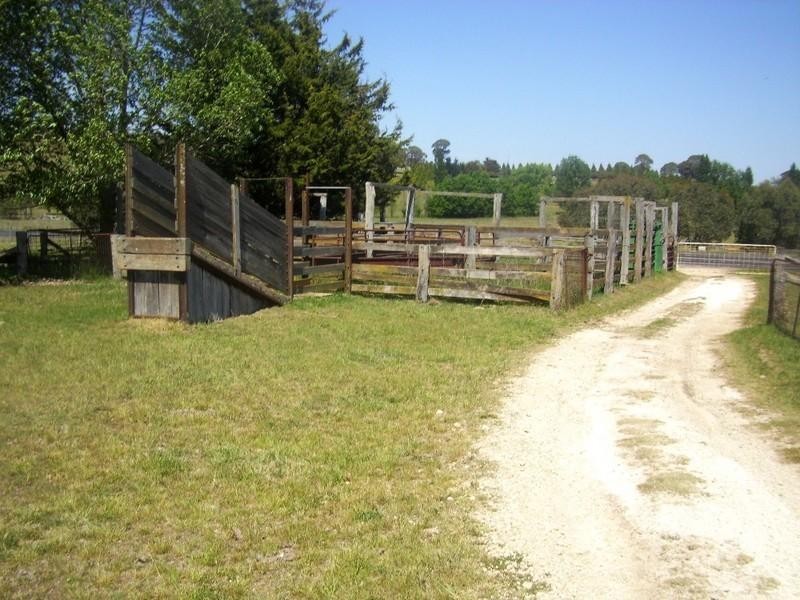 Llangothlin NSW 2365