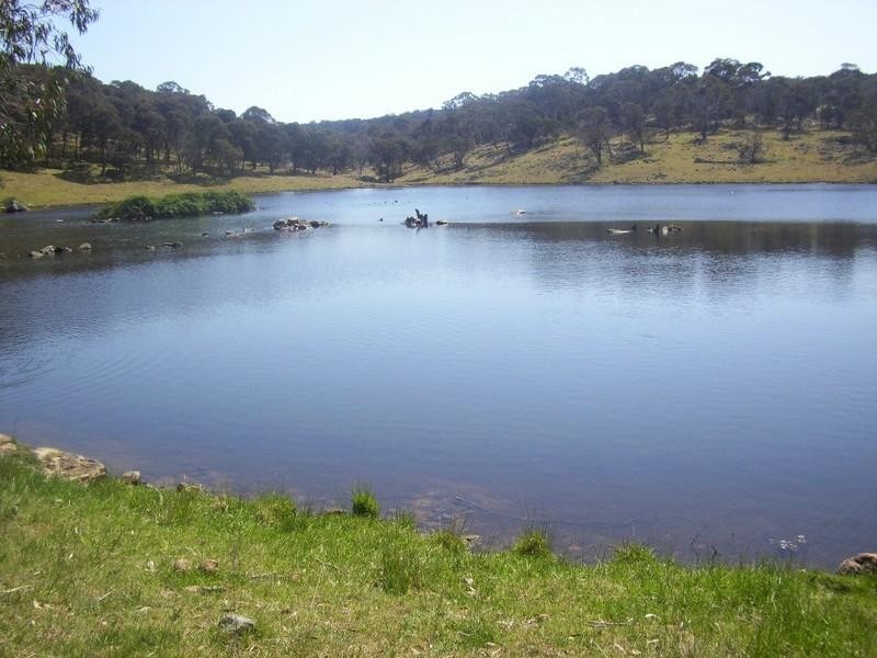 Llangothlin NSW 2365