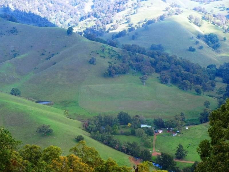 Nundle NSW 2340 the real estate agency Withdrawn