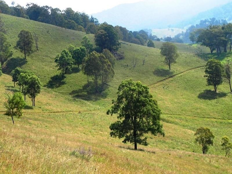 Nundle NSW 2340 the real estate agency Withdrawn