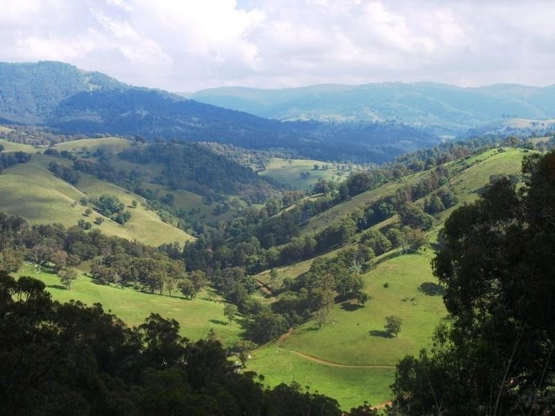 Nundle NSW 2340 the real estate agency Withdrawn