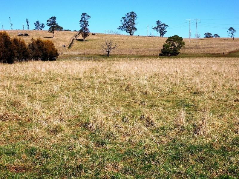 Ebor NSW 2453