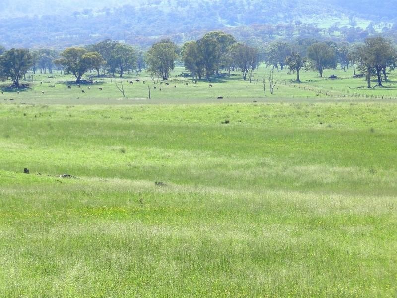 Armidale NSW 2350