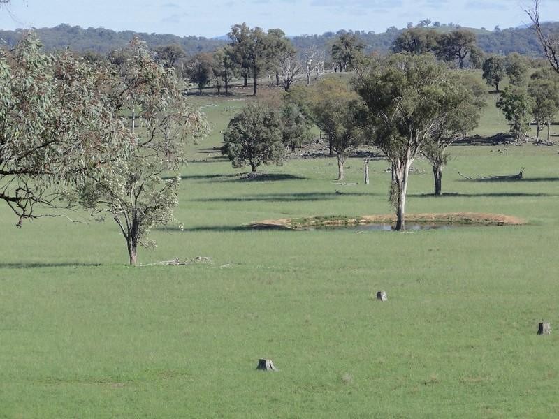 Armidale NSW 2350