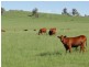 Armidale NSW 2350