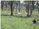 Armidale NSW 2350