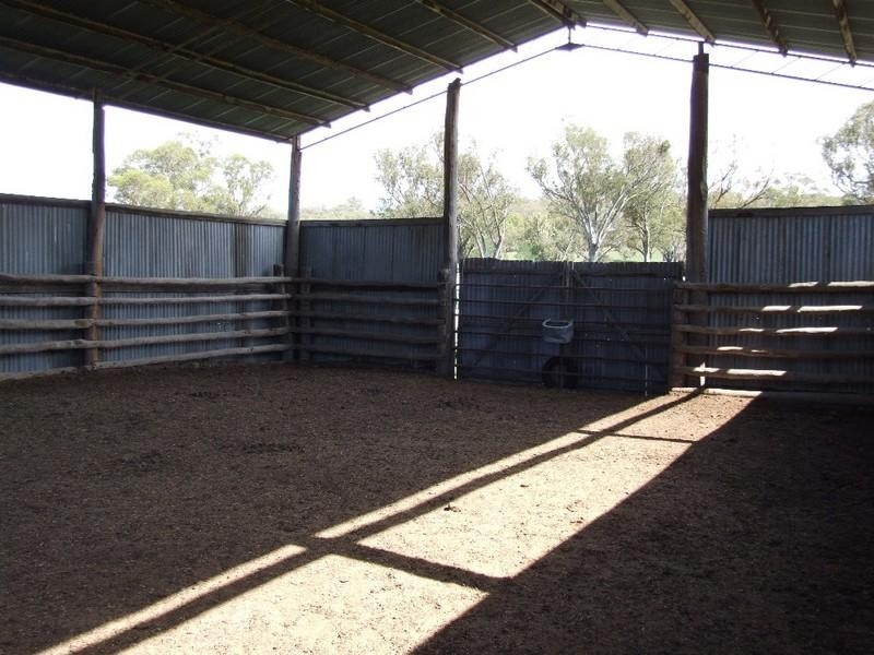 Armidale NSW 2350