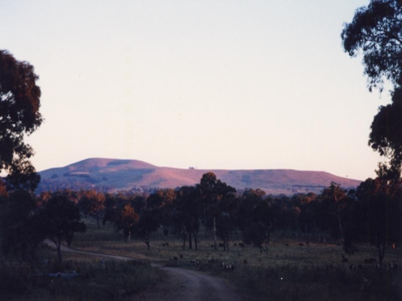 Wongwibinda NSW 2350