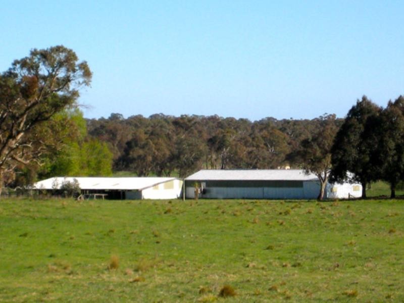 Wongwibinda NSW 2350
