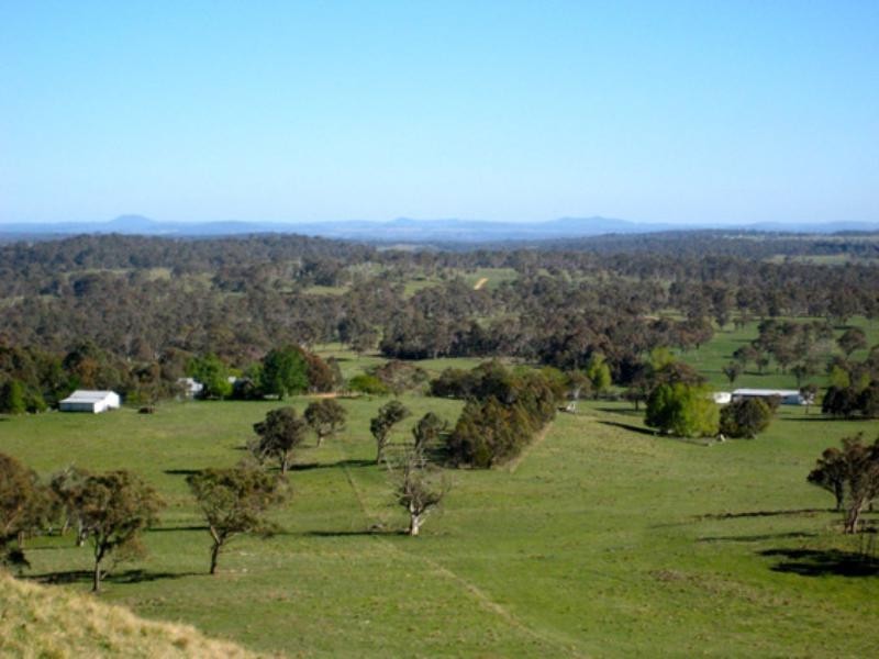 Wongwibinda NSW 2350