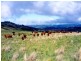 Wongwibinda NSW 2350