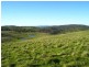Wongwibinda NSW 2350