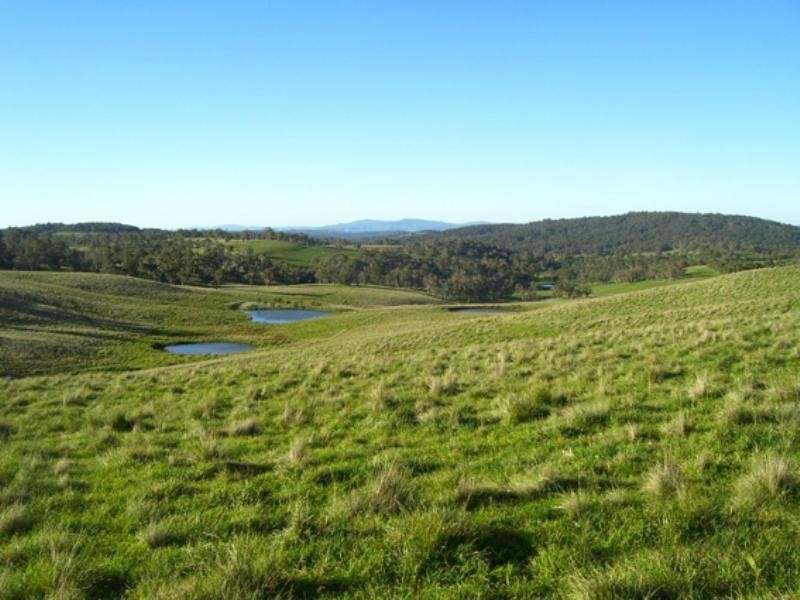 Wongwibinda NSW 2350