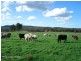 Armidale NSW 2350