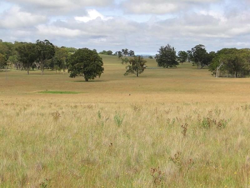 Armidale NSW 2350