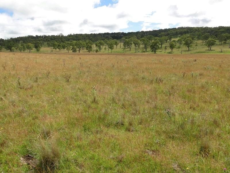 Armidale NSW 2350