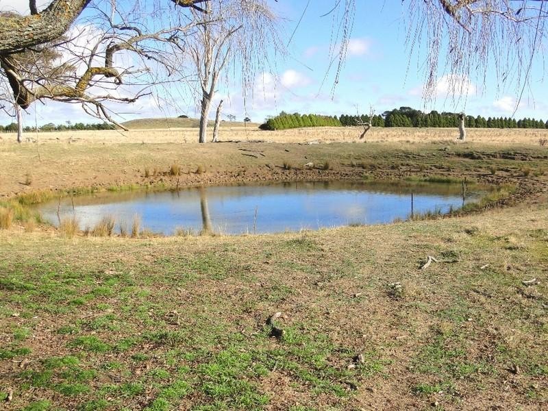 Armidale NSW 2350