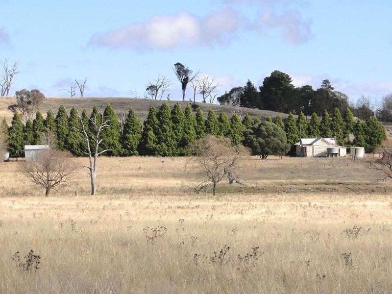 Armidale NSW 2350