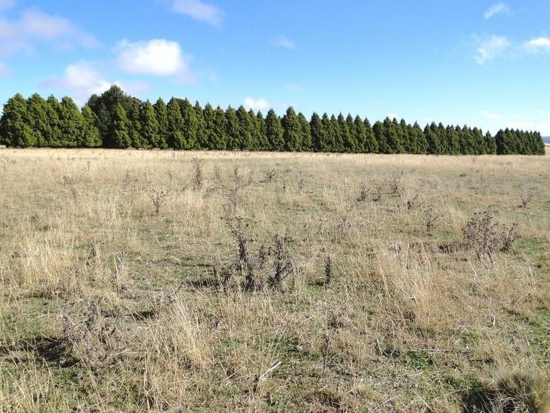 Armidale NSW 2350