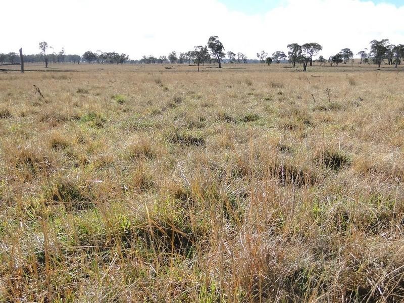 Armidale NSW 2350