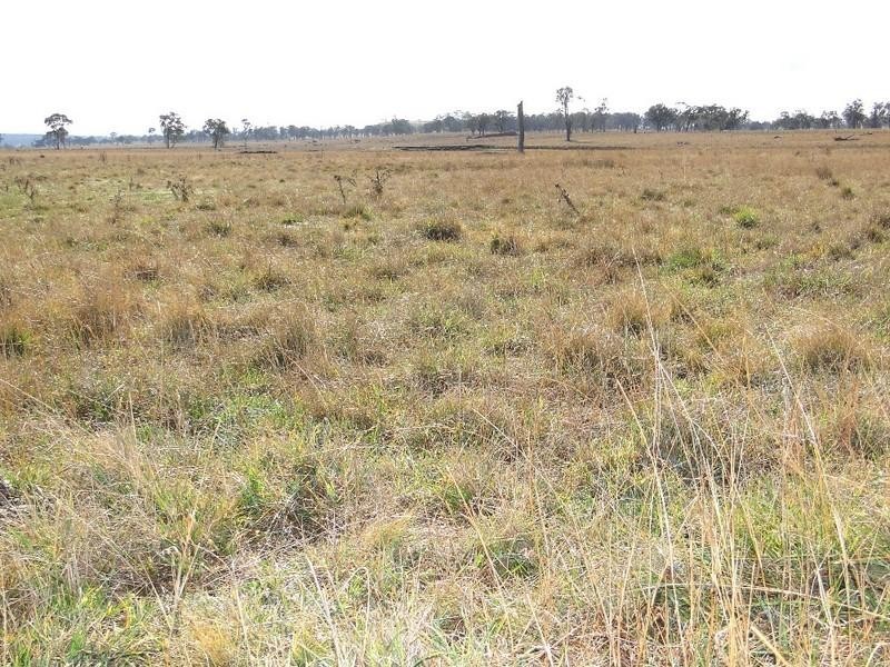 Armidale NSW 2350