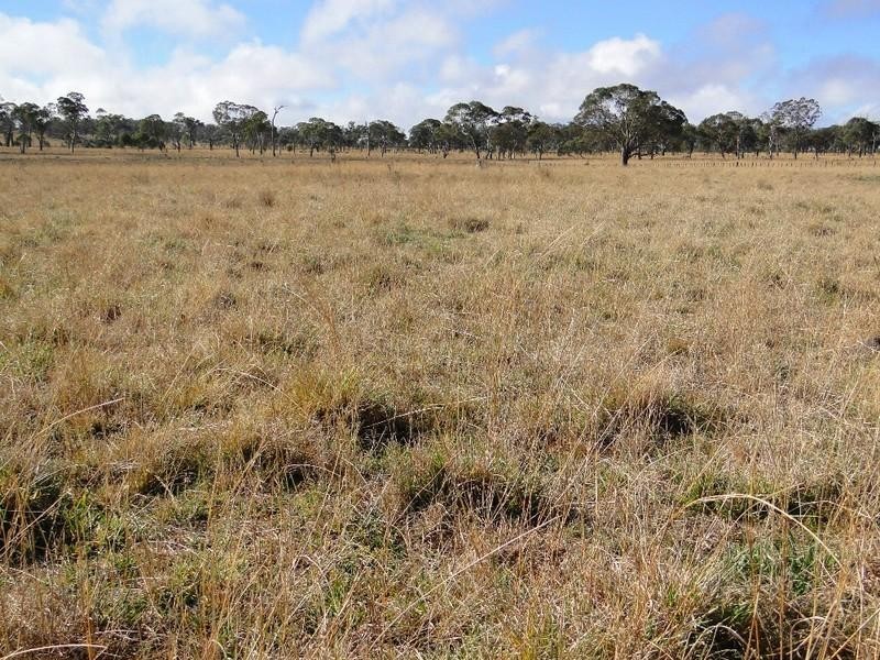 Armidale NSW 2350
