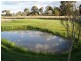 Guyra NSW 2365