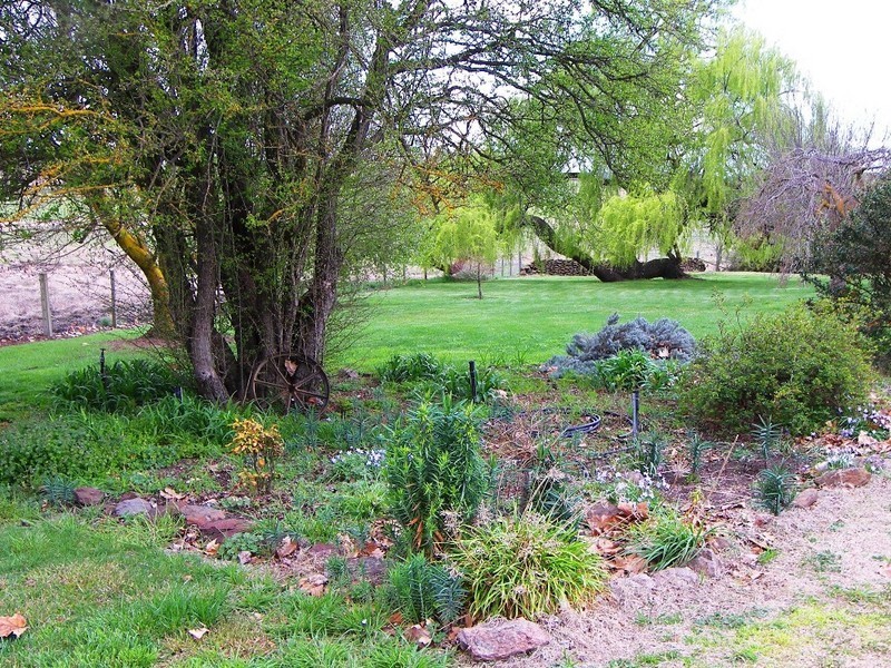 Black Mountain NSW 2365