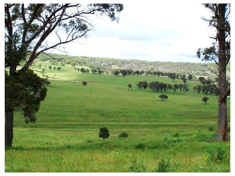 Black Mountain NSW 2365