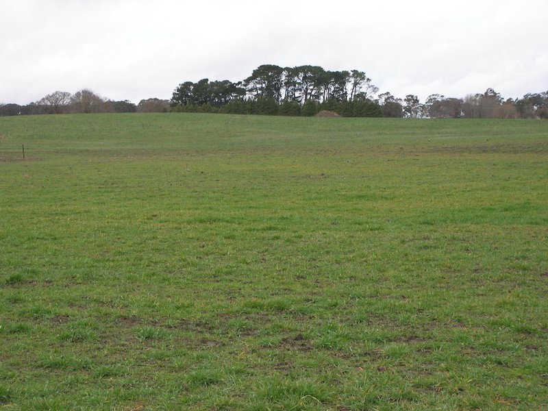 Black Mountain NSW 2365