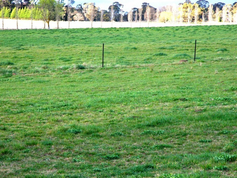 Black Mountain NSW 2365