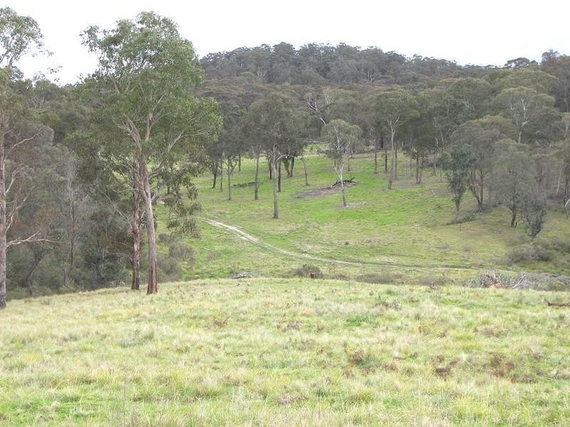 145 Old Ebor Road, Guyra NSW 2365