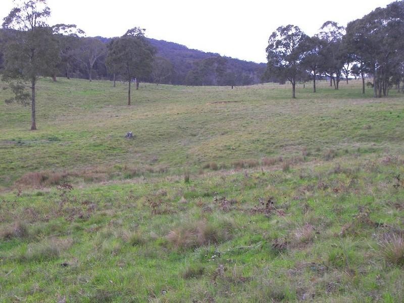 145 Old Ebor Road, Guyra NSW 2365