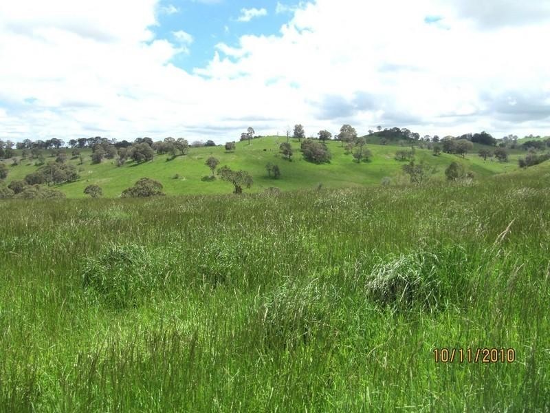 Ben Lomond NSW 2365