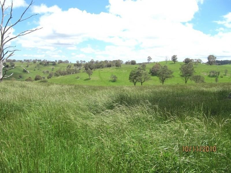 Ben Lomond NSW 2365