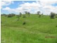 Ben Lomond NSW 2365