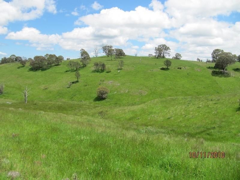 Ben Lomond NSW 2365