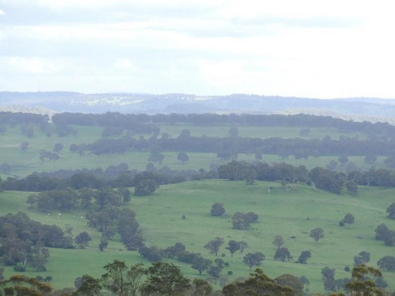 Ben Lomond NSW 2365