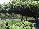 Guyra NSW 2365