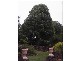 Guyra NSW 2365