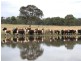 Aberfoyle NSW 2350