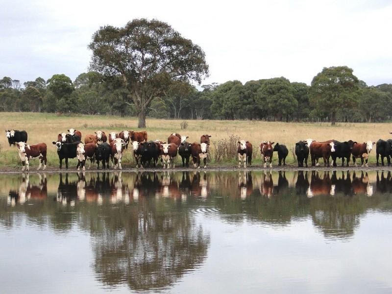 Aberfoyle NSW 2350