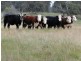 Aberfoyle NSW 2350