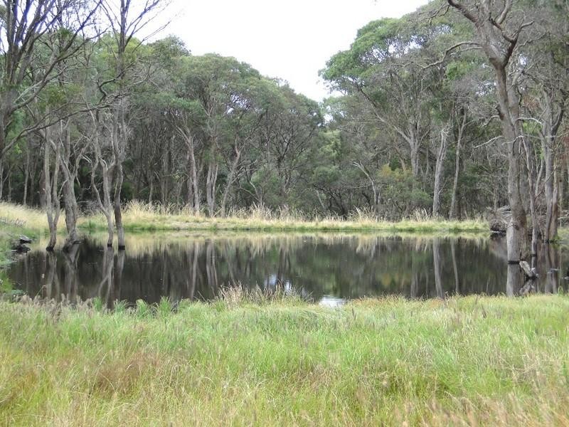 Aberfoyle NSW 2350